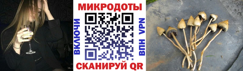 Псилоцибиновые грибы мухоморы  Котельниково 